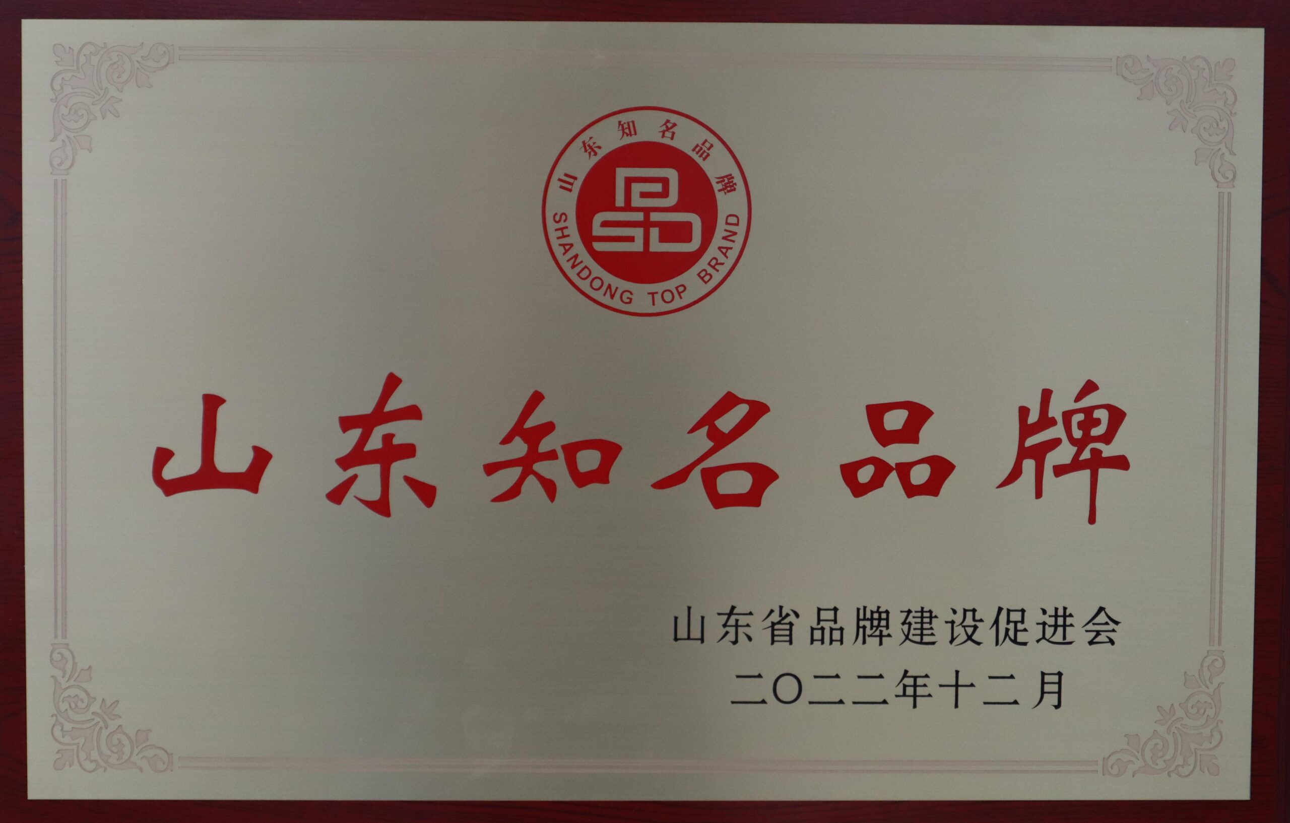 11.山东省知名品牌